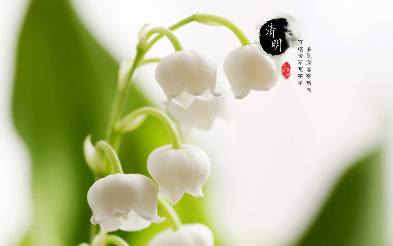 网红商城